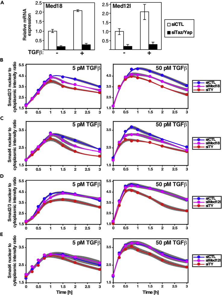 Figure 7