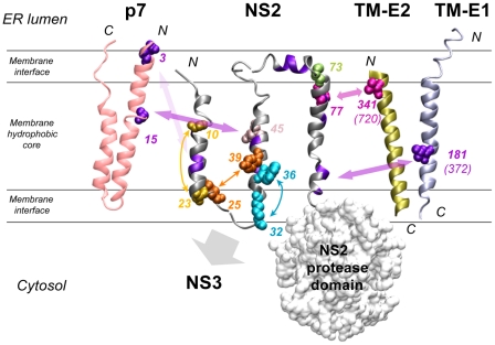 Figure 10