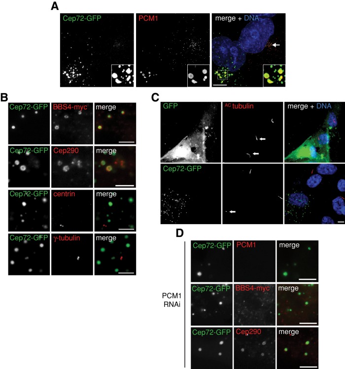 FIGURE 4: