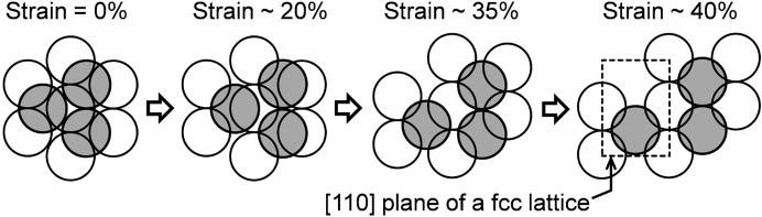 Figure 8