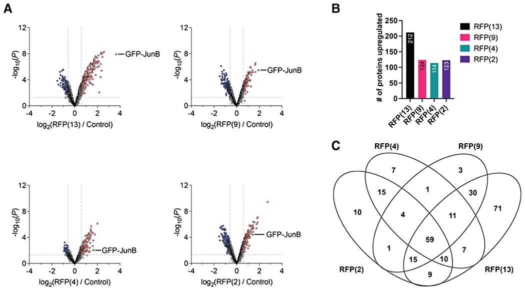 Fig. 3