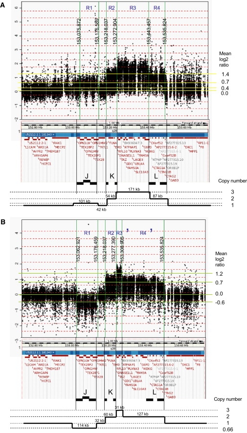 Figure 4