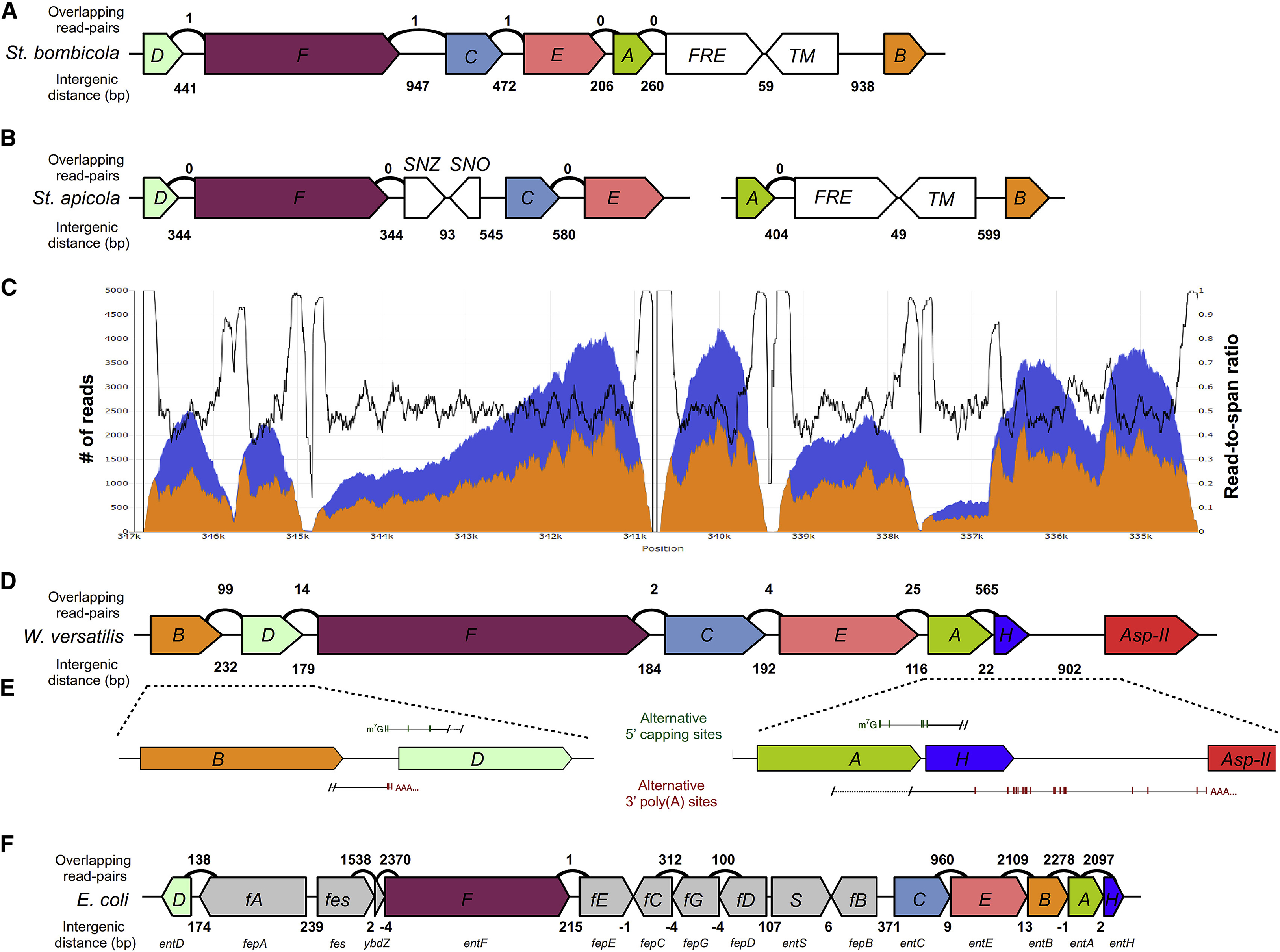 Figure 4.