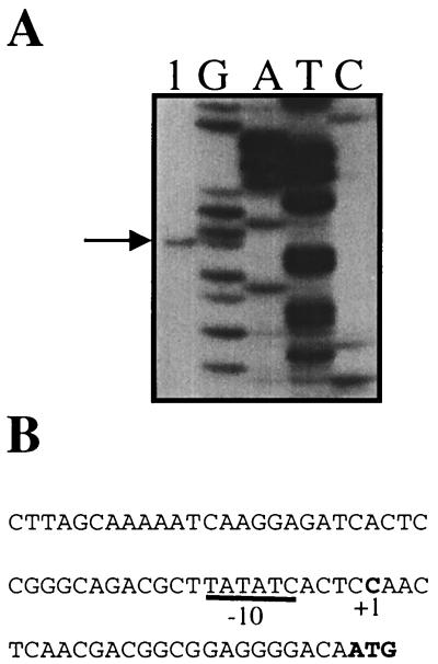 FIG. 4