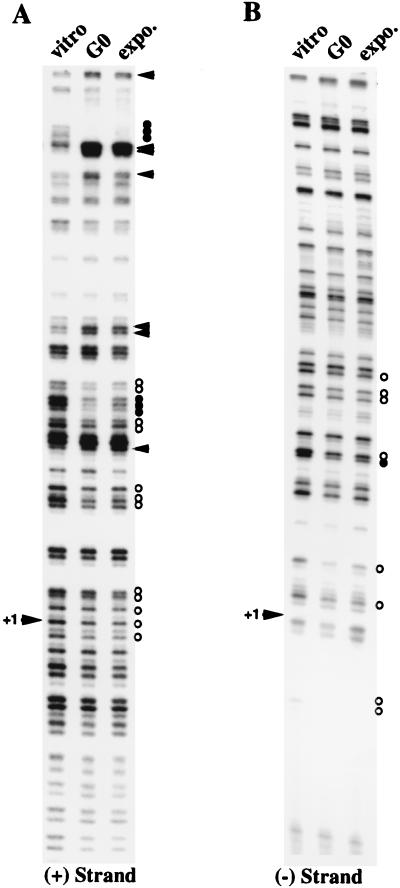 FIG. 8