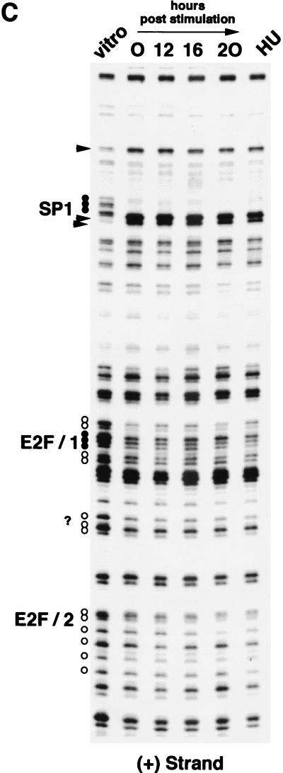 FIG. 9