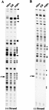 FIG. 8
