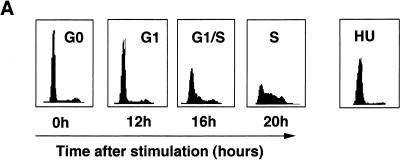 FIG. 9