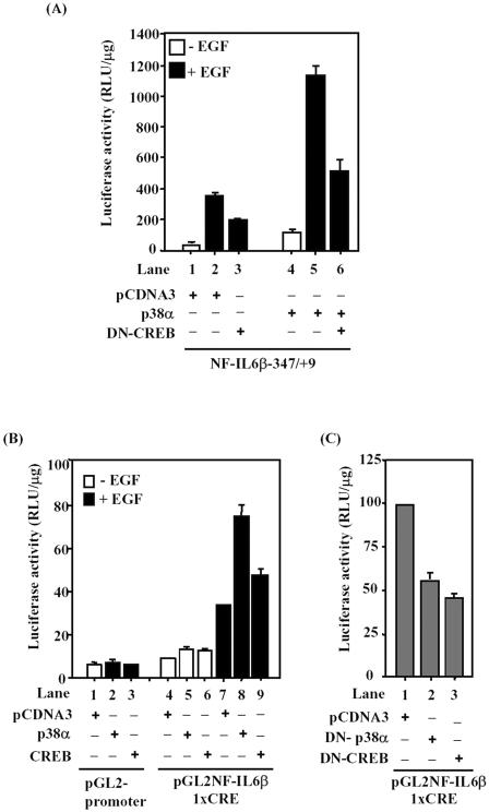 Figure 9.