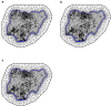 Fig. 2