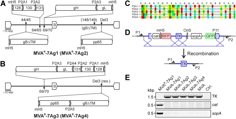 FIG 1