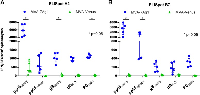 FIG 6