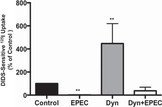 Fig. 8.