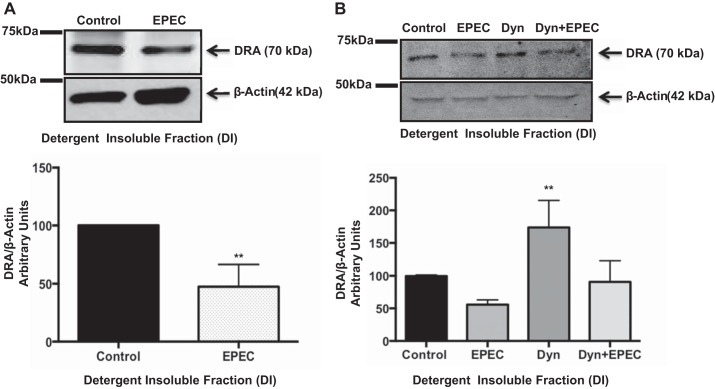 Fig. 9.