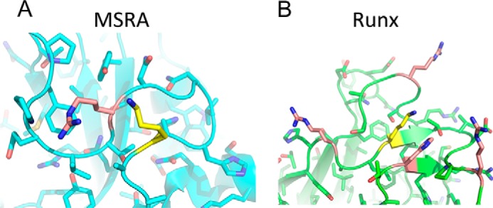 FIGURE 7.