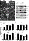 Fig. 2: