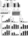 Fig. 3: