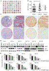 Fig. 8: