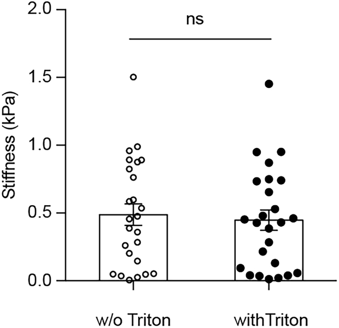 Figure 6