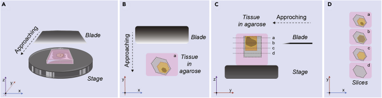 Figure 4