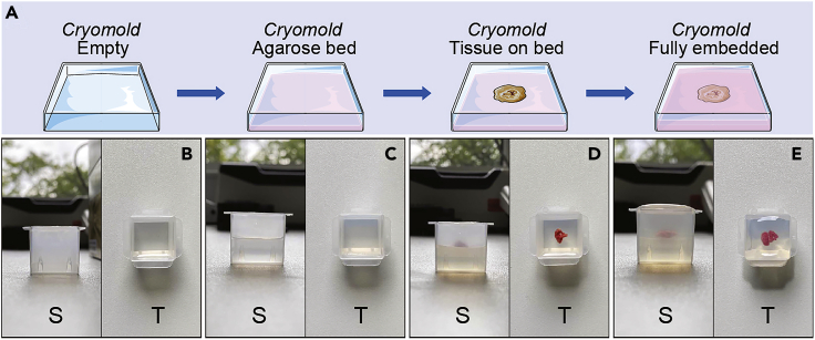 Figure 3