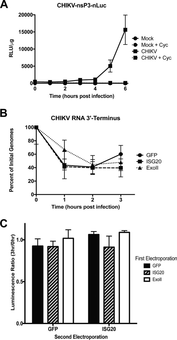 FIG 3