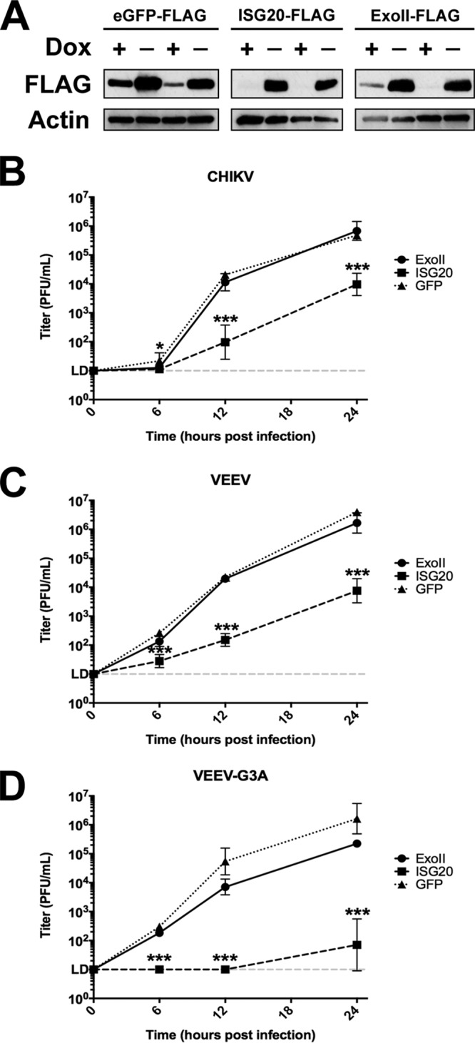 FIG 1