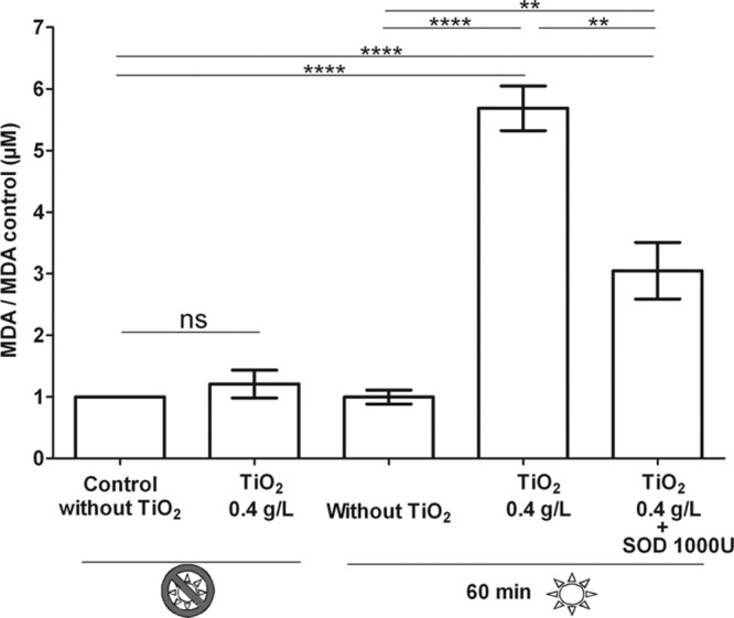 FIG 2