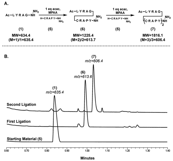 Figure 6: