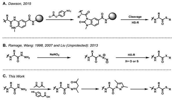 Figure 1: