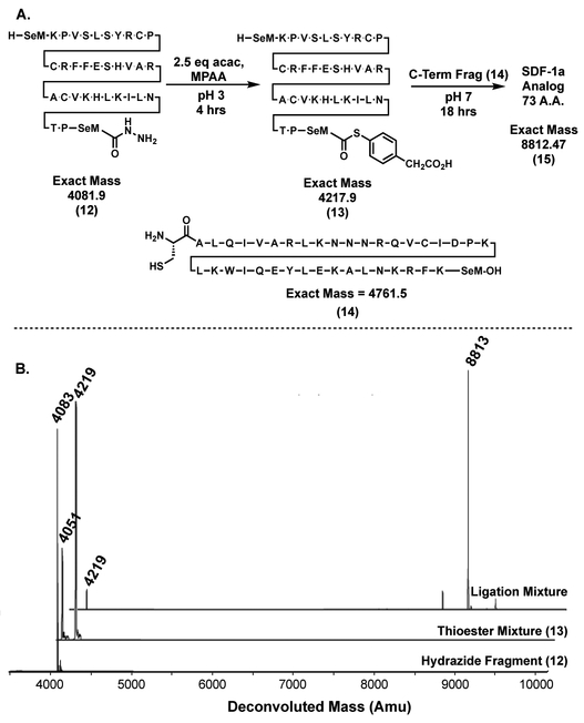 Figure 8: