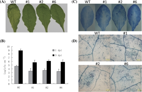 Fig. 6.