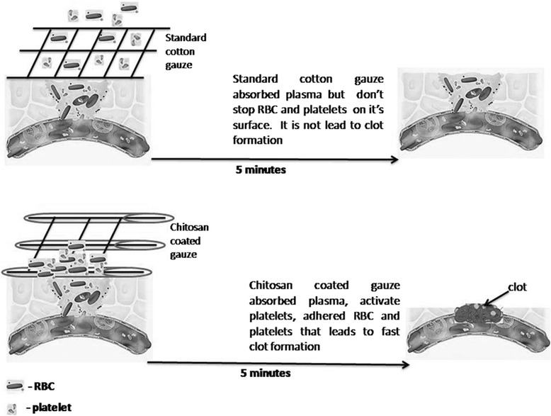 Fig. 9