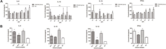 FIGURE 3