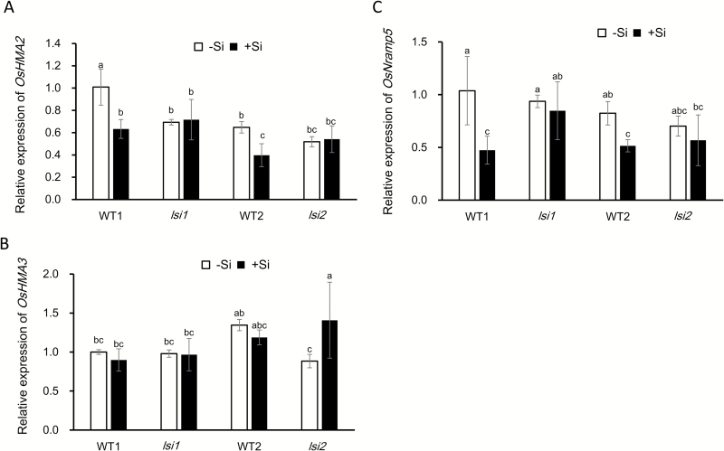 Fig. 6.