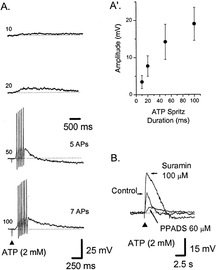 Fig. 8.