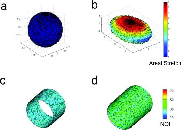 Fig. 4