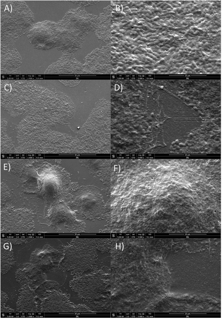 Fig. 5