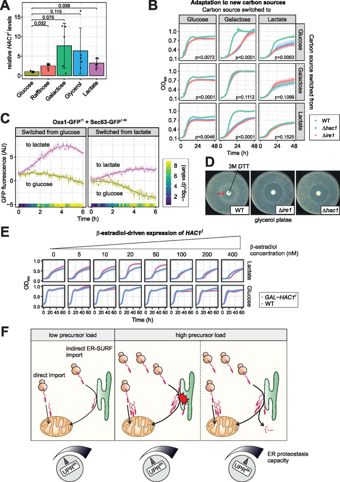 FIGURE 5: