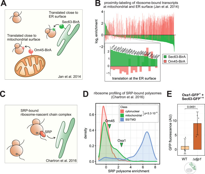 FIGURE 4: