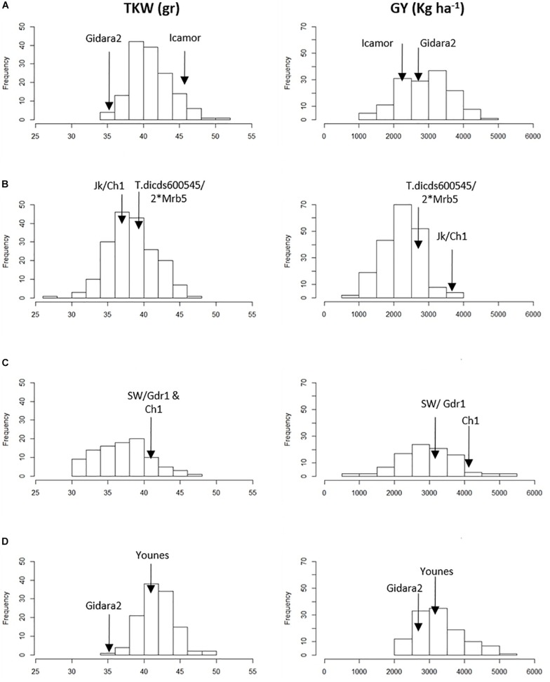 FIGURE 1