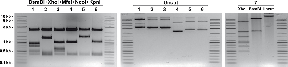 Figure 3.