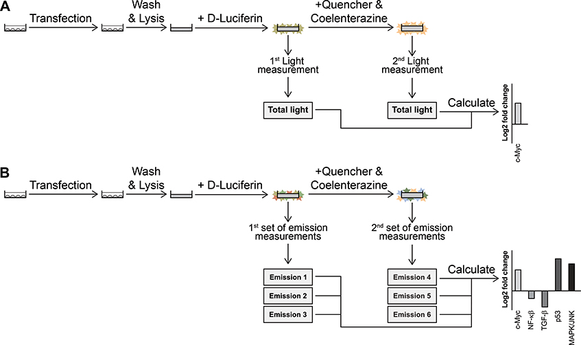 Figure 13.