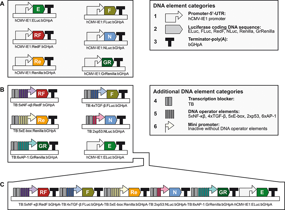 Figure 2.