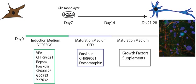 Fig. 2