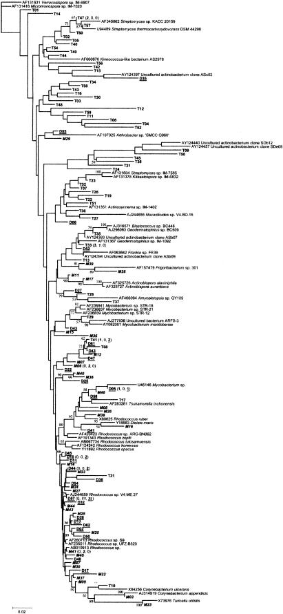 FIG.2.