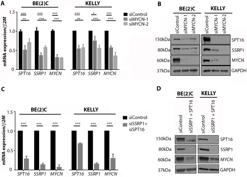 Fig. 2: