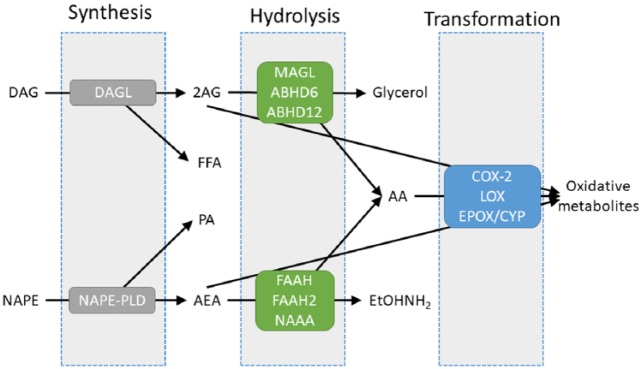 Figure 5.