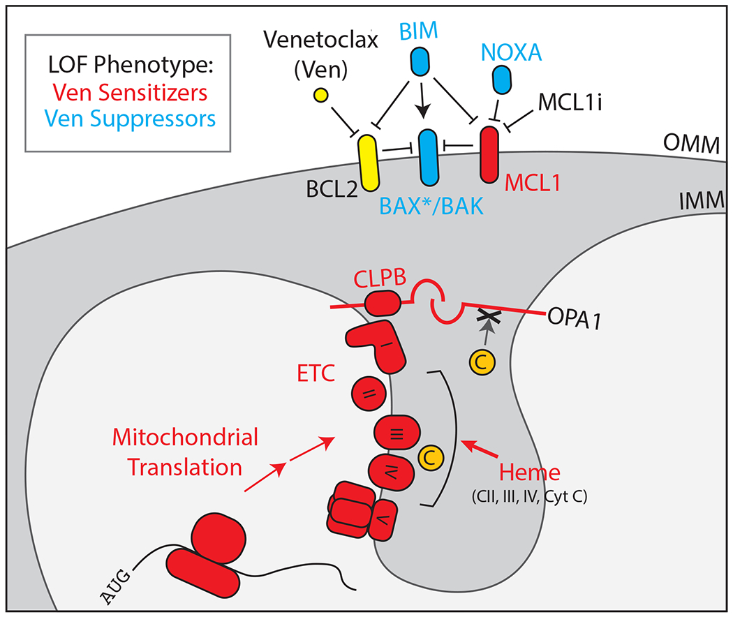 Figure 2)