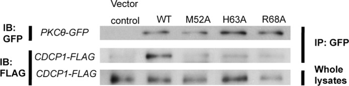 FIGURE 3.